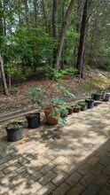 55 Candytuff Ln in Durham, NC - Building Photo - Building Photo