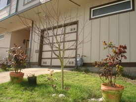 14 Parkrose Ave, Unit 2 - Upstairs