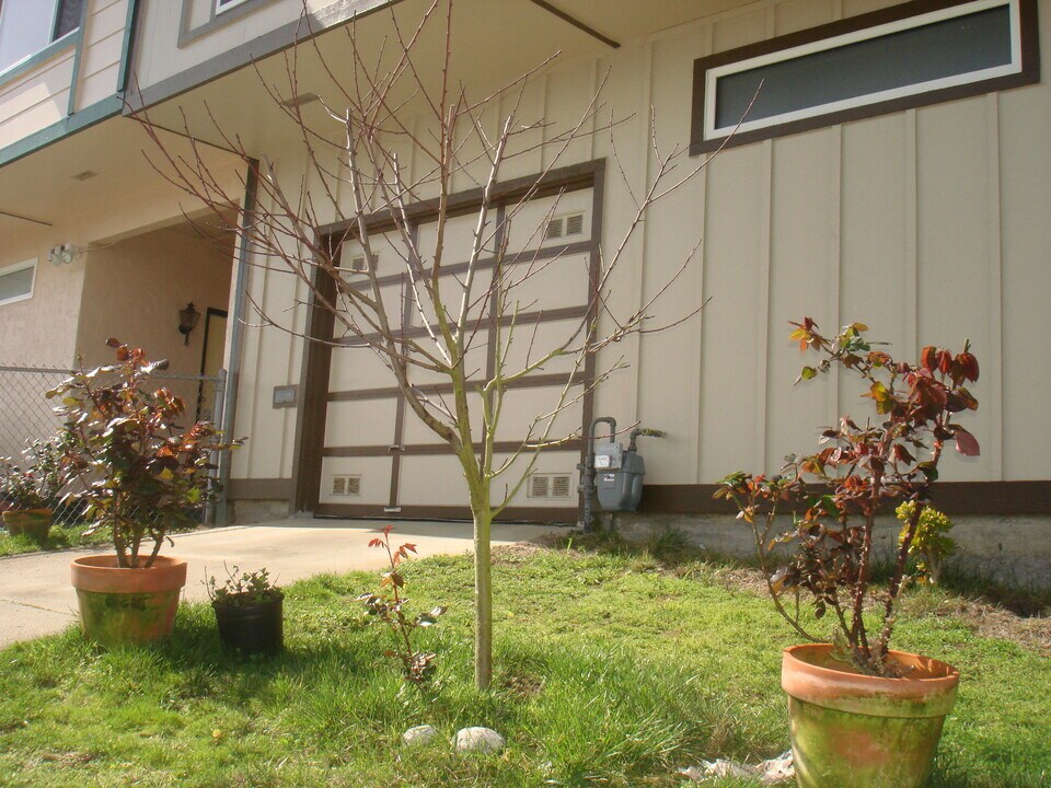 14 Parkrose Ave, Unit 2 - Upstairs Photo