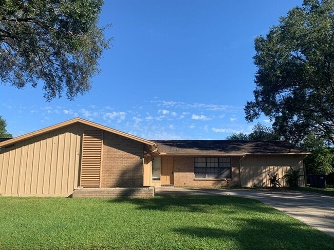 17509 Meadowbridge Dr in Lutz, FL - Foto de edificio - Building Photo