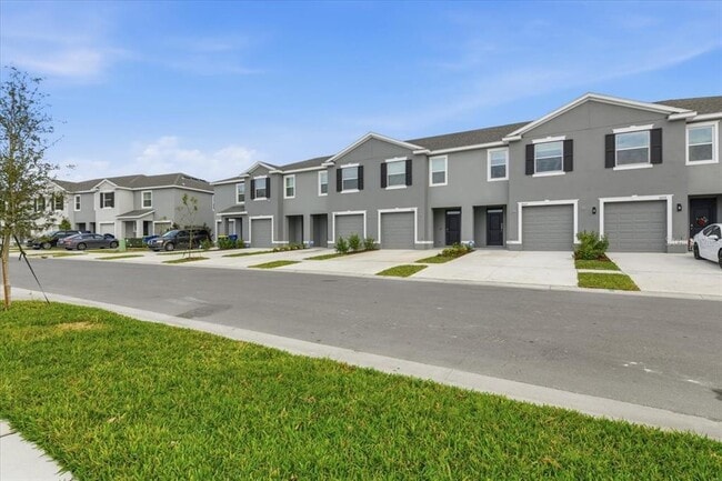 8066 Swan Mist Wy in Wesley Chapel, FL - Building Photo - Building Photo