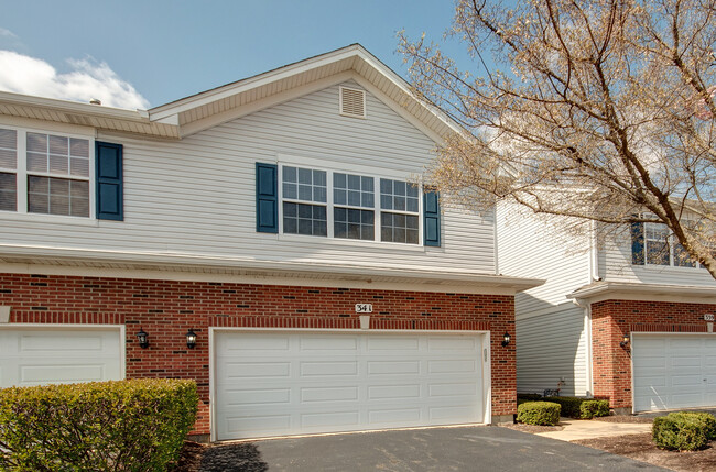 341 Grape Vine Trail in Oswego, IL - Building Photo - Building Photo