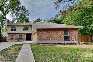 11 Fiddleleaf Ct in Spring, TX - Building Photo