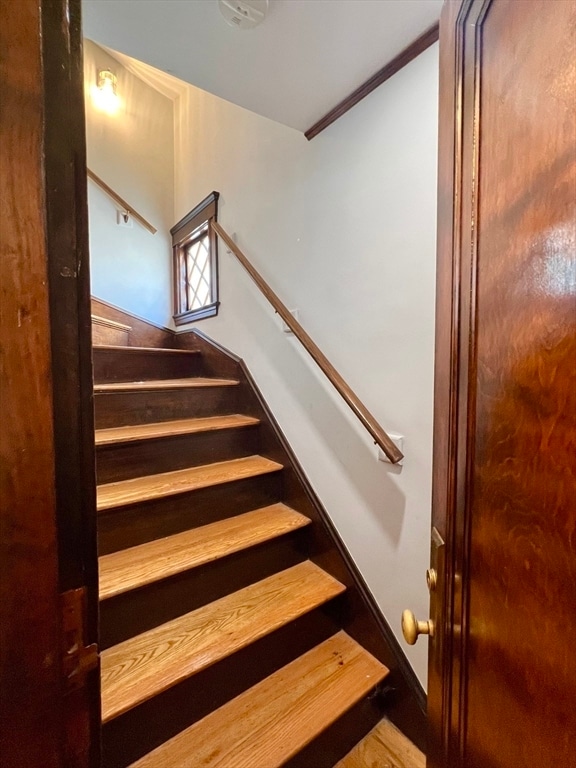 15 Century St in Medford, MA - Building Photo - Building Photo