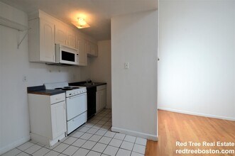10 Shepard St, Unit 10 in Boston, MA - Building Photo - Building Photo