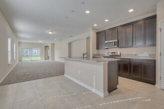 78 Concave Ln in St. Augustine, FL - Building Photo - Building Photo
