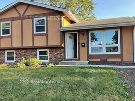 3950 171st Pl in Country Club Hills, IL - Building Photo