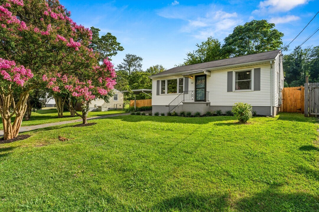 917 Hall St in Knoxville, TN - Building Photo