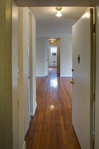 Nottingham Gardens photo'