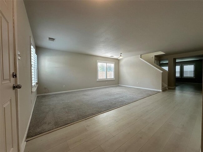 318 Remington Heights Dr in Houston, TX - Building Photo - Building Photo