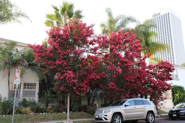 837 Alandele Ave, Unit 837 in Los Angeles, CA - Foto de edificio - Building Photo