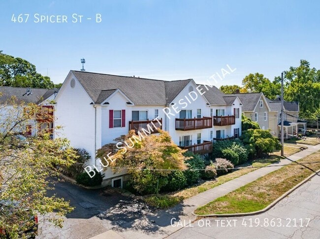 467 Spicer Street in Akron, OH - Building Photo - Building Photo