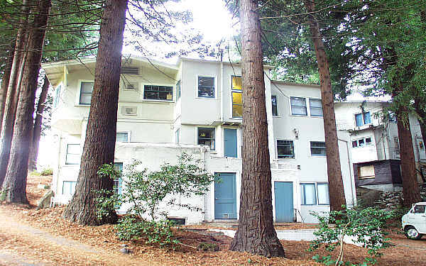 1197 Euclid Ave in Berkeley, CA - Building Photo - Building Photo