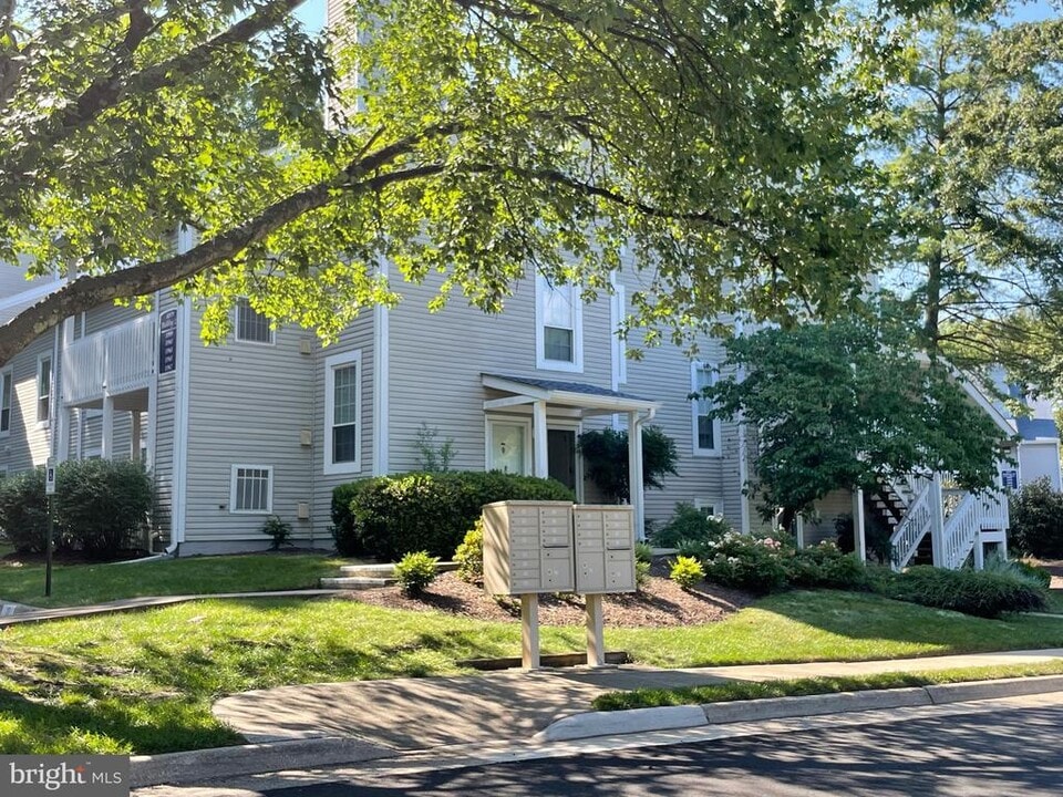 11967 Cardamom Dr in Woodbridge, VA - Building Photo
