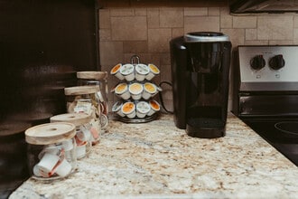 3308 Parliament Cove in Lago Vista, TX - Building Photo - Building Photo