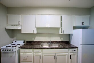 1419 Hawthorne St in Houston, TX - Building Photo - Building Photo