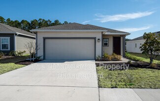 11351 Streamsong Dr in Jacksonville, FL - Building Photo