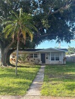264 44th Ave NE in St. Petersburg, FL - Building Photo
