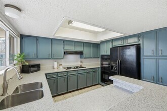 1007 Lime Rock Dr in Round Rock, TX - Building Photo - Building Photo