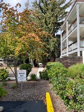 4081 Clayton Rd in Concord, CA - Building Photo - Building Photo