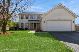 2895 Lahinch Ct in Aurora, IL - Building Photo