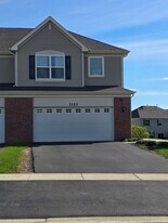 1123 Hawk Hollow Dr in Yorkville, IL - Building Photo