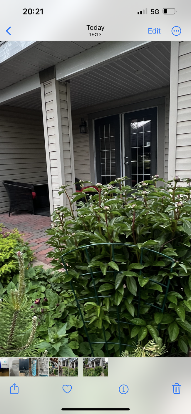 property at 268 Kincora Hts NW