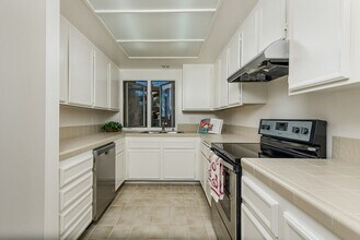 8148 Avenida Navidad in San Diego, CA - Building Photo - Building Photo