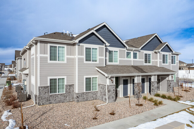 The Pointe Apartments in Windsor, CO - Building Photo - Building Photo