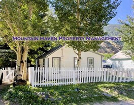 913 Griffith St in Georgetown, CO - Building Photo