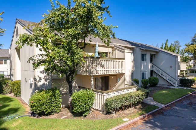 Central Park Condominiums