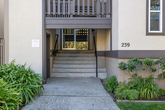 239 Elm St in San Mateo, CA - Building Photo - Building Photo