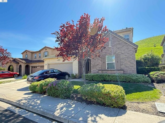 7826 Kelly Canyon Pl in Dublin, CA - Building Photo - Building Photo