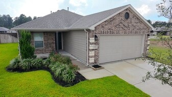 310 Bandit Cv Ct in Magnolia, TX - Building Photo