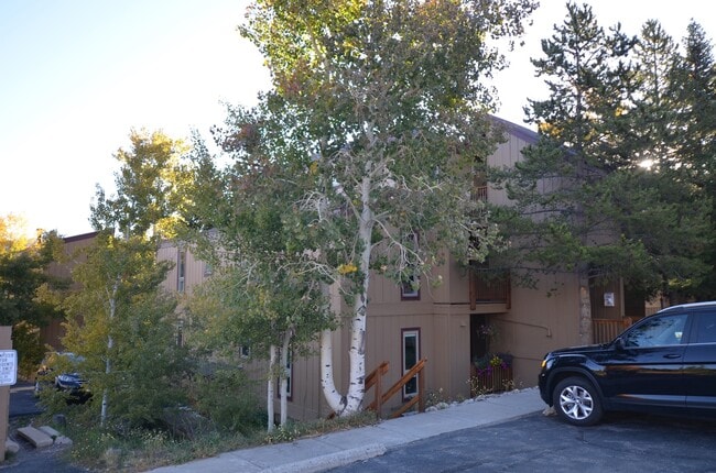 property at 213 Buffalo Dr