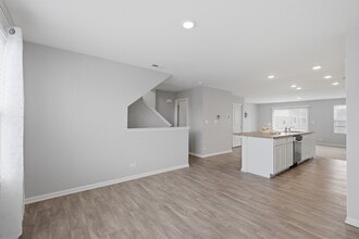 217 Goldenrod Dr in Elgin, IL - Building Photo - Building Photo