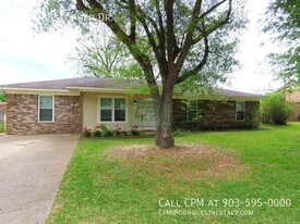 803 Christopher St in Whitehouse, TX - Building Photo