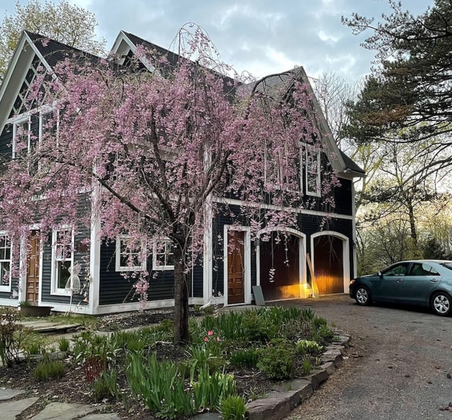 195 N Prospect St in Burlington, VT - Building Photo - Building Photo