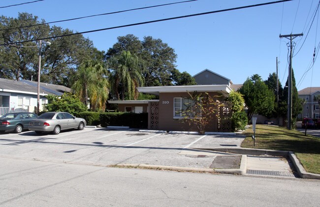 310 S Fremont Ave in Tampa, FL - Building Photo - Building Photo