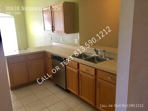 30638 Nickerson Loop in Zephyrhills, FL - Building Photo - Building Photo