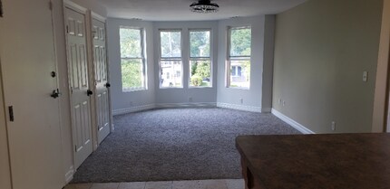 517 Park Ave in Syracuse, NY - Building Photo - Building Photo