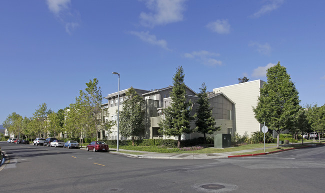 Peninsula Park Apartments in Palo Alto, CA - Building Photo - Building Photo