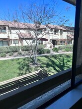 781 Danville Dr in Claremont, CA - Building Photo - Building Photo