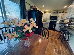 100 Lawley Dr in Erie, CO - Building Photo - Building Photo