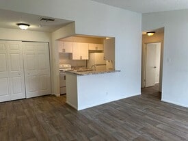 3816 Breakwater Way in Kissimmee, FL - Building Photo