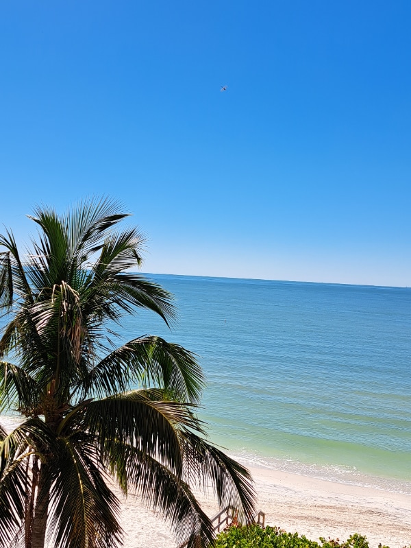 7600 Bayshore Dr in Treasure Island, FL - Building Photo - Building Photo