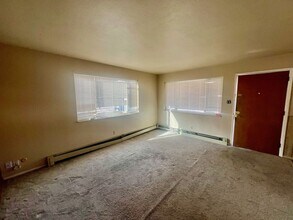 1117 Old Dutch Mill Rd in Colorado Springs, CO - Building Photo - Building Photo
