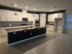 30517 Pecan Valley Loop in Wesley Chapel, FL - Building Photo - Building Photo
