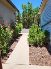 333 Rim Rock Cir in Prescott, AZ - Building Photo - Building Photo