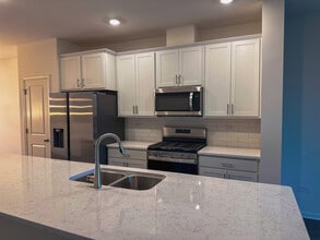 1318 Lakepointe Dr in Schaumburg, IL - Building Photo - Building Photo